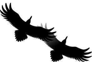 Two ravens flying together across the evening sky in front of the moon