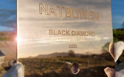 Etched Bronze Artwork Frame & Gallery Plaque for Nat Bowen’s ‘Black Diamond’