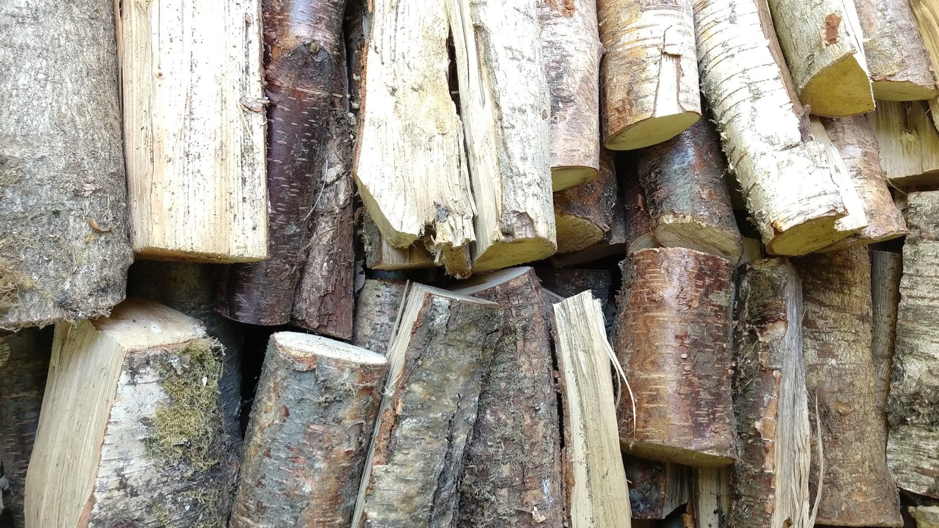 Logs we've grown in our mini woodland cut and dried ready to use as eco-friendly fire pit firewood