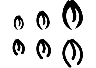 Original (top) and CNC plasma-ready (bottom) versions of coffee bean leaves from Pobaldo Coffi's design