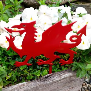 Arwydd Metel Draig Goch Red Welsh Dragon Metal Stake Sign in a Welsh flag colours flower border