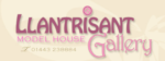 Llantrisant Gallery logo